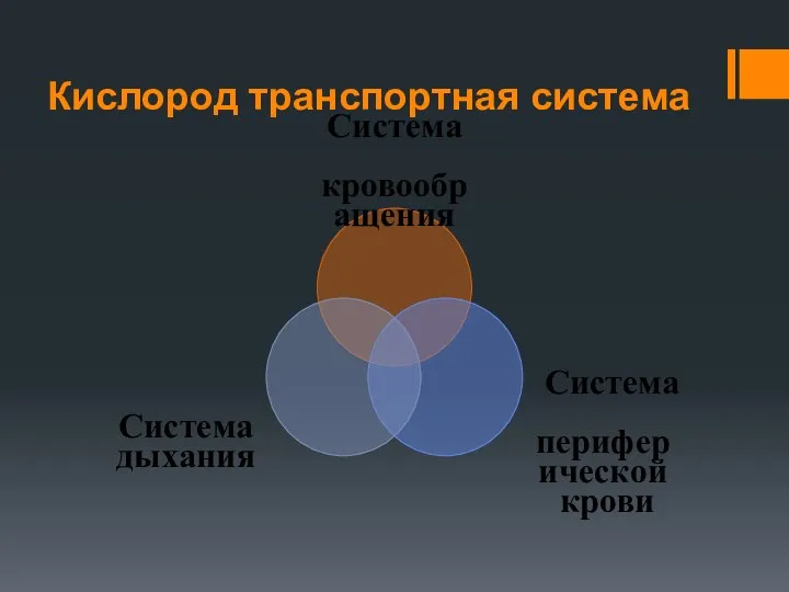 Кислород транспортная система