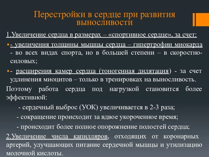 Перестройки в сердце при развития выносливости 1.Увеличение сердца в размерах –