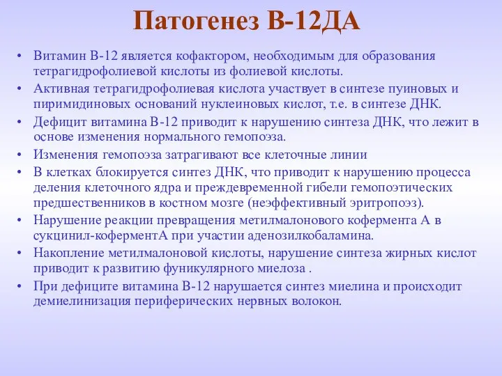 Патогенез В-12ДА Витамин В-12 является кофактором, необходимым для образования тетрагидрофолиевой кислоты