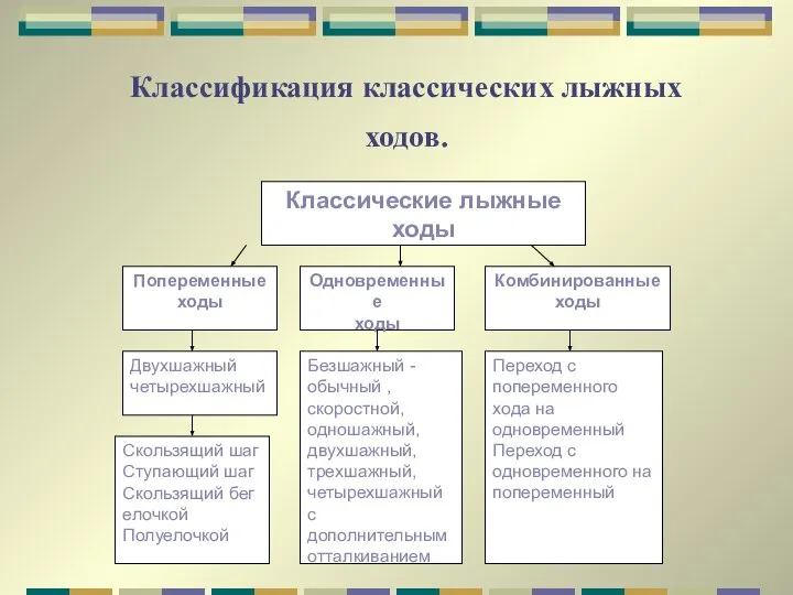 Классификация классических лыжных ходов.