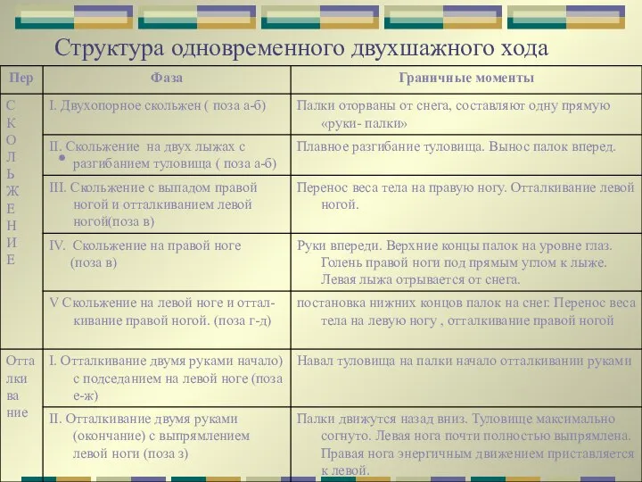 Структура одновременного двухшажного хода