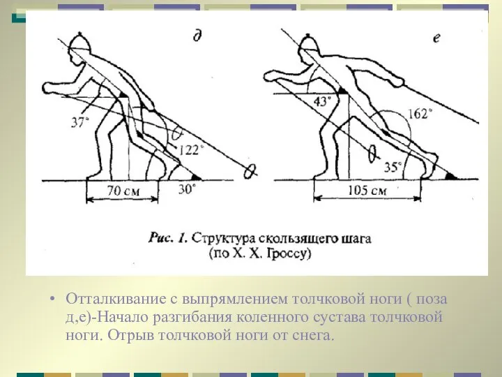 Отталкивание с выпрямлением толчковой ноги ( поза д,е)-Начало разгибания коленного сустава