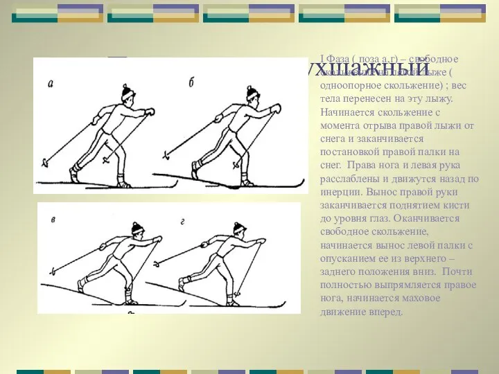 Попеременно двухшажный ход I Фаза ( поза а,г) – свободное скольжение