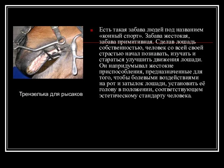 Есть такая забава людей под названием «конный спорт». Забава жестокая, забава