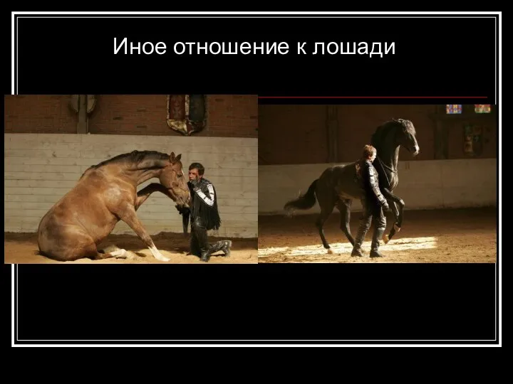 Иное отношение к лошади