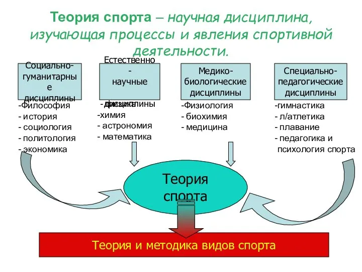 Теория спорта – научная дисциплина, изучающая процессы и явления спортивной деятельности.