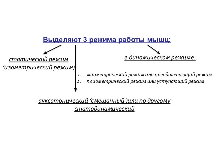 Выделяют 3 режима работы мышц: статический режим (изометрический режим) в динамическом