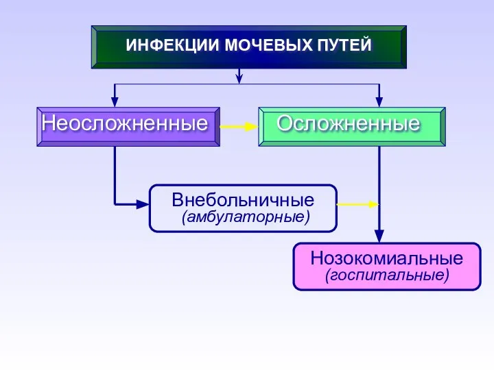 ИНФЕКЦИИ МОЧЕВЫХ ПУТЕЙ Неосложненные Осложненные Внебольничные (амбулаторные) Нозокомиальные (госпитальные)