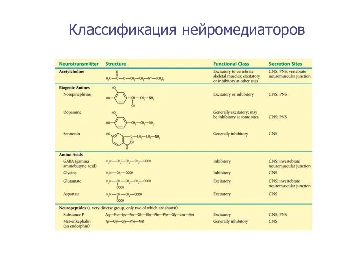 Классификация нейромедиаторов