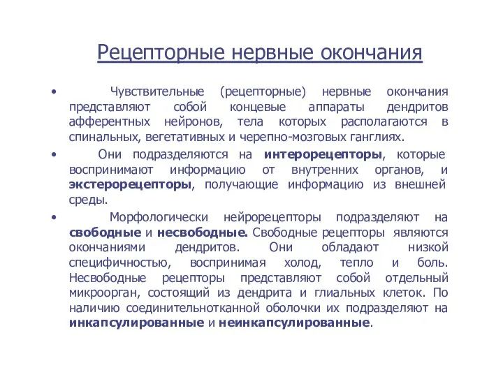 Рецепторные нервные окончания Чувствительные (рецепторные) нервные окончания представляют собой концевые аппараты