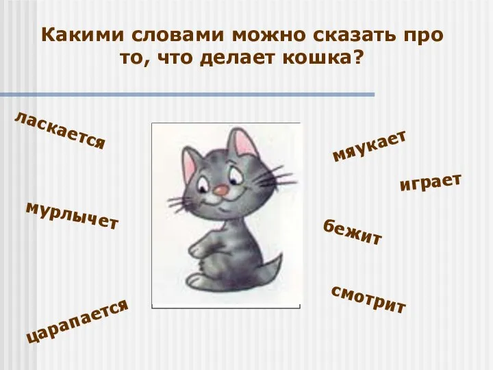 Какими словами можно сказать про то, что делает кошка? ласкается мурлычет царапается мяукает играет бежит смотрит