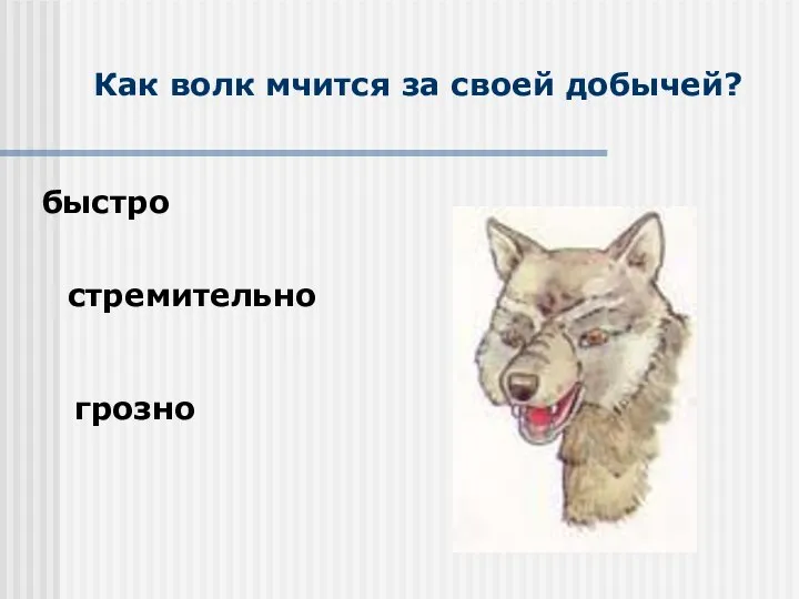 Как волк мчится за своей добычей? быстро стремительно грозно