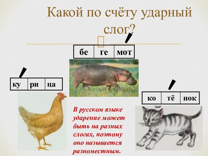 Какой по счёту ударный слог? В русском языке ударение может быть