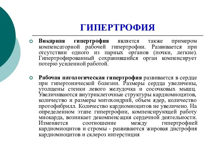 ГИПЕРТРОФИЯ Викарная гипертрофия является также примером компенсаторной рабочей гипертрофии. Развивается при