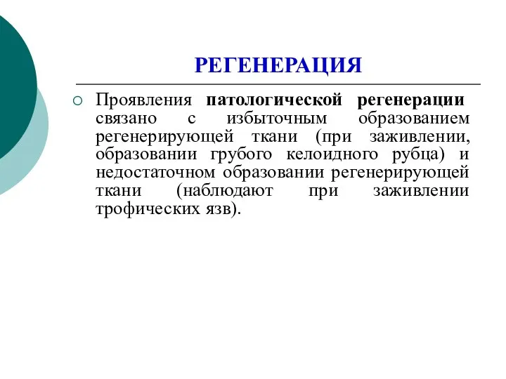 РЕГЕНЕРАЦИЯ Проявления патологической регенерации связано с избыточным образованием регенерирующей ткани (при