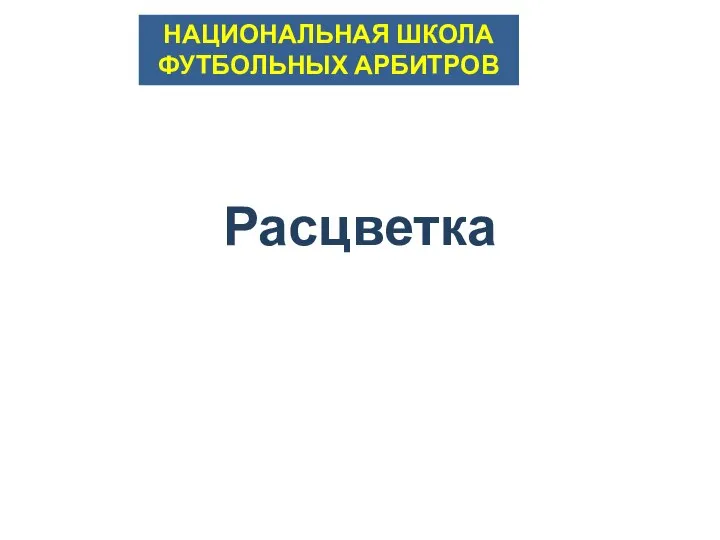 Расцветка НАЦИОНАЛЬНАЯ ШКОЛА ФУТБОЛЬНЫХ АРБИТРОВ