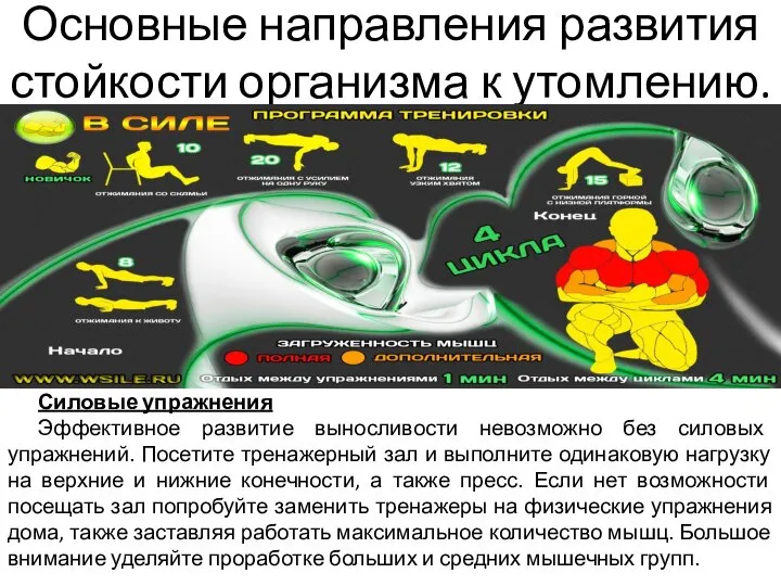 Силовые упражнения Эффективное развитие выносливости невозможно без силовых упражнений. Посетите тренажерный