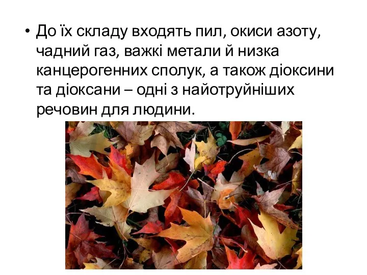 До їх складу входять пил, окиси азоту, чадний газ, важкі метали