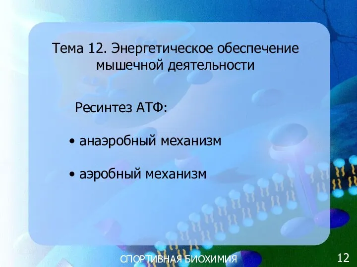 СПОРТИВНАЯ БИОХИМИЯ Тема 12. Энергетическое обеспечение мышечной деятельности Ресинтез АТФ: анаэробный механизм аэробный механизм 12