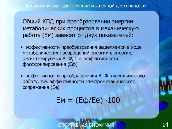 СПОРТИВНАЯ БИОХИМИЯ Общий КПД при преобразовании энергии метаболических процессов в механическую