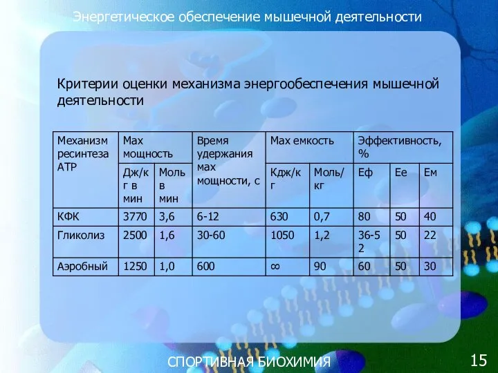 СПОРТИВНАЯ БИОХИМИЯ Энергетическое обеспечение мышечной деятельности Критерии оценки механизма энергообеспечения мышечной деятельности 15