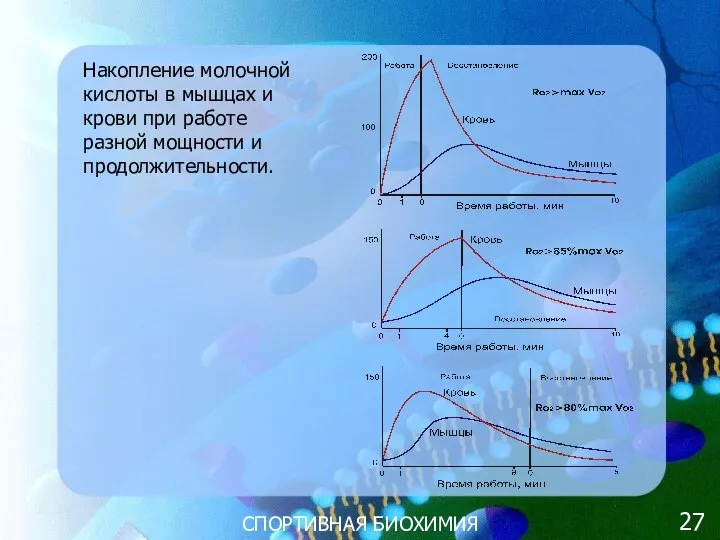 СПОРТИВНАЯ БИОХИМИЯ Накопление молочной кислоты в мышцах и крови при работе разной мощности и продолжительности. 27