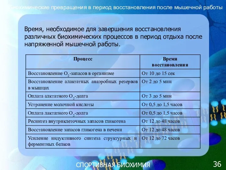 СПОРТИВНАЯ БИОХИМИЯ Время, необходимое для завершения восстановления различных биохимических процессов в