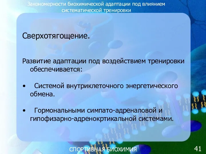 СПОРТИВНАЯ БИОХИМИЯ Сверхотягощение. Развитие адаптации под воздействием тренировки обеспечивается: Системой внутриклеточного