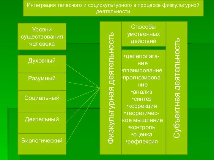 Уровни существования человека Духовный Разумный Социальный Деятельный Биологический Субъектная деятельность Способы