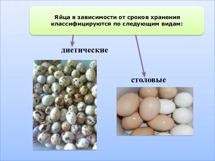 диетические столовые Яйца в зависимости от сроков хранения классифицируются по следующим видам: