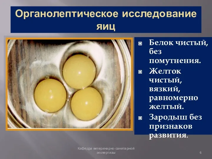 Органолептическое исследование яиц Белок чистый, без помутнения. Желток чистый, вязкий, равномерно