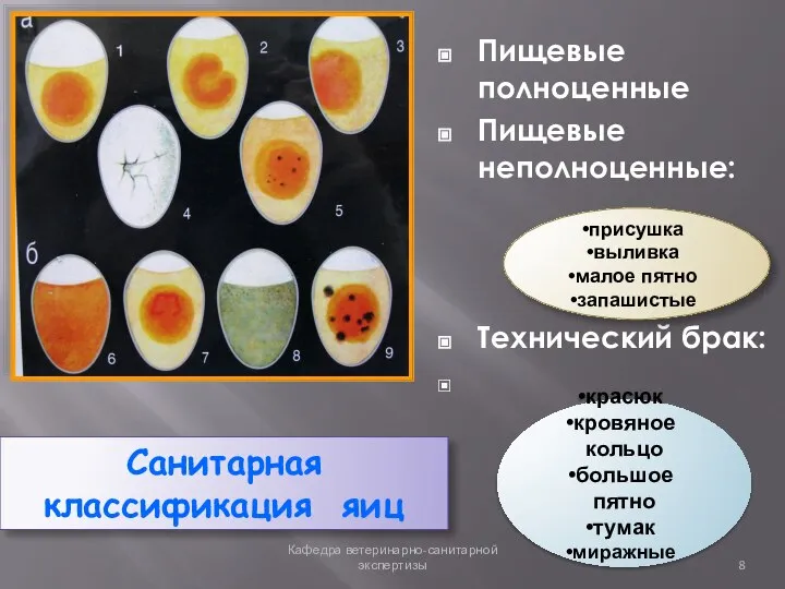 Санитарная классификация яиц Пищевые полноценные Пищевые неполноценные: Технический брак: Кафедра ветеринарно-санитарной