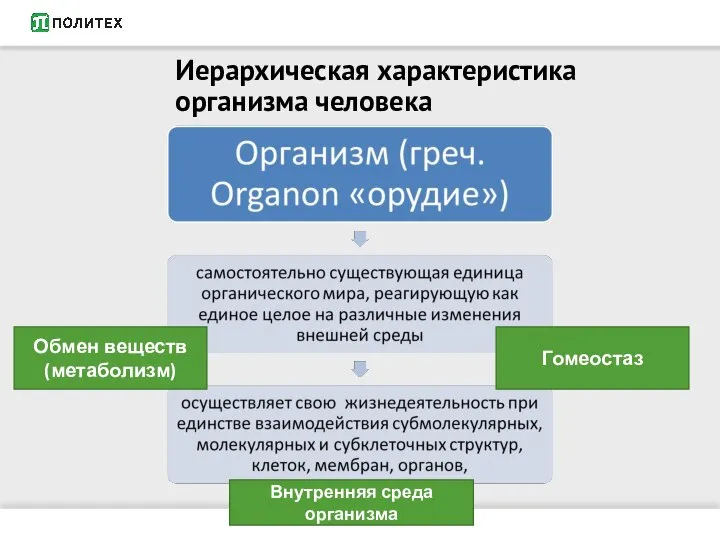 Иерархическая характеристика организма человека Обмен веществ (метаболизм) Гомеостаз Внутренняя среда организма