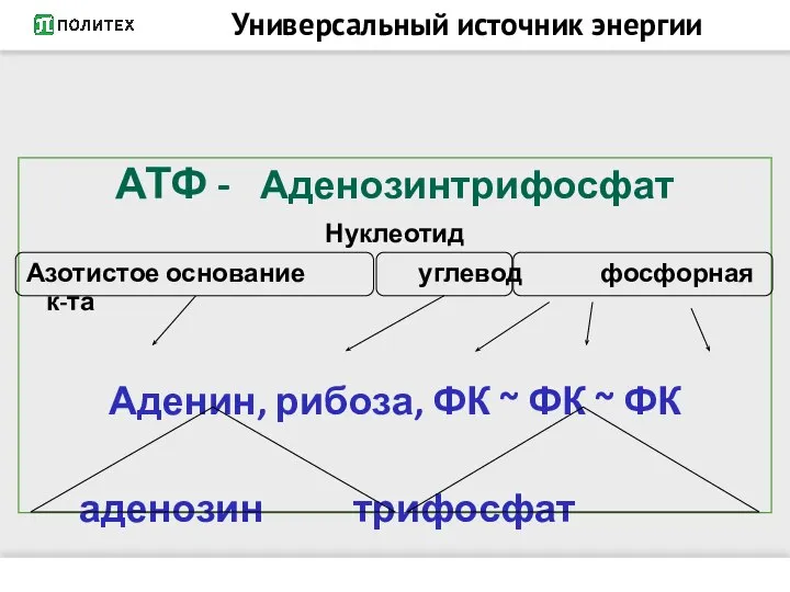 Универсальный источник энергии АТФ - Аденозинтрифосфат Нуклеотид Азотистое основание углевод фосфорная