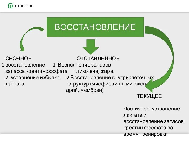 СРОЧНОЕ ОТСТАВЛЕННОЕ восстановление 1. Восполнение запасов запасов креатинфосфата гликогена, жира. 2.