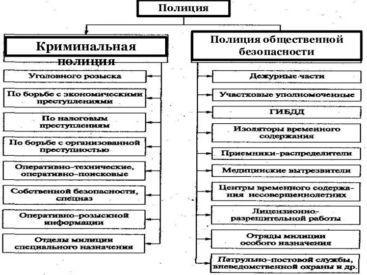 Полиция Полиция общественной безопасности Криминальная полиция