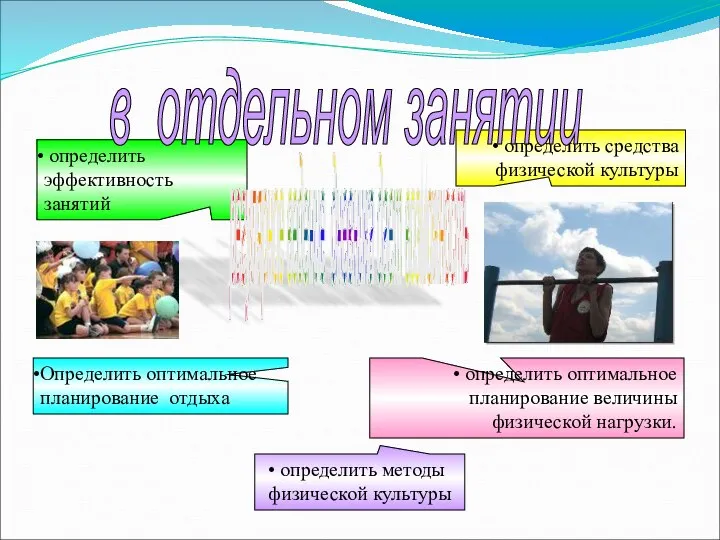 определить средства физической культуры определить оптимальное планирование величины физической нагрузки. определить