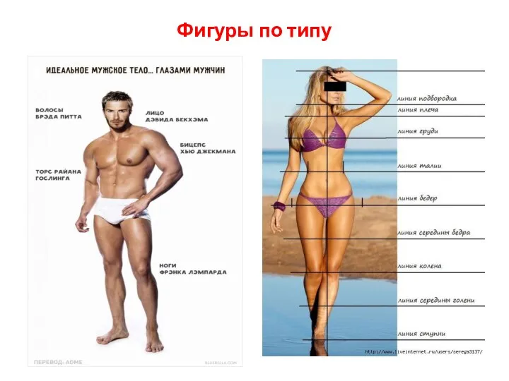 Фигуры по типу