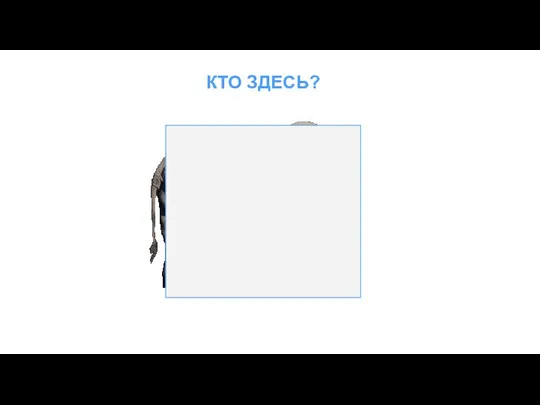 КТО ЗДЕСЬ?