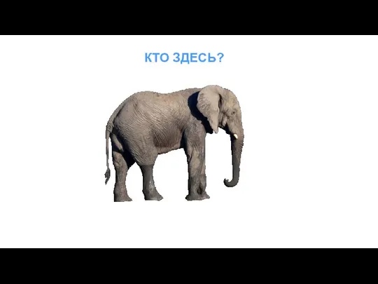 КТО ЗДЕСЬ?