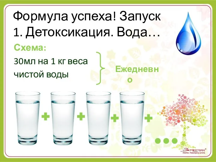 Формула успеха! Запуск 1. Детоксикация. Вода… Схема: 30мл на 1 кг веса чистой воды Ежедневно