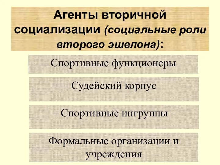 Спортивные функционеры Агенты вторичной социализации (социальные роли второго эшелона): Судейский корпус