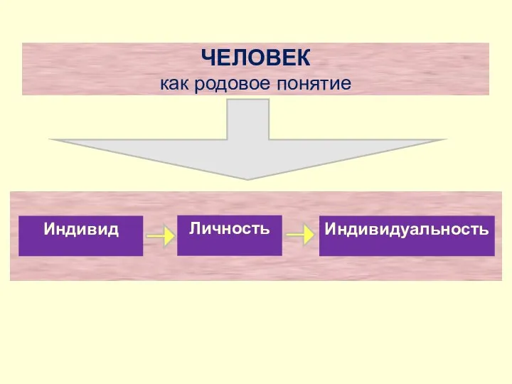 ЧЕЛОВЕК как родовое понятие Индивид Личность Индивидуальность