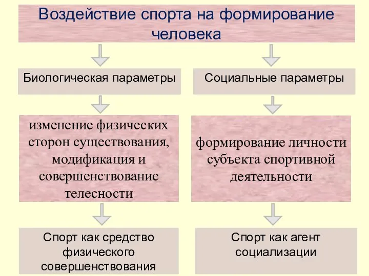 Воздействие спорта на формирование человека Биологическая параметры Социальные параметры изменение физических