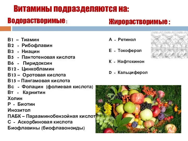 Витамины подразделяются на: Водорастворимые : В1 – Тиамин В2 - Рибофлавин