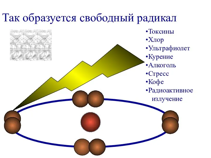 Так образуется свободный радикал Токсины Хлор Ультрафиолет Курение Алкоголь Стресс Кофе Радиоактивное излучение
