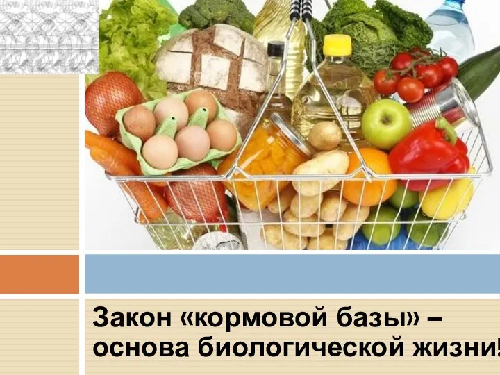 Закон «кормовой базы» – основа биологической жизни!