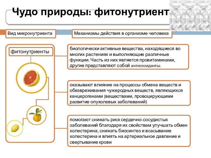 Чудо природы: фитонутриенты Вид микронутриента Фитонутриенты Механизмы действия в организме человека