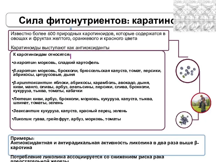 Сила фитонутриентов: каратиноиды Известно более 600 природных каротиноидов, которые содержатся в