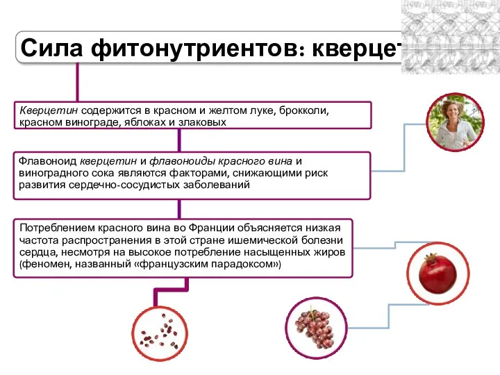 Сила фитонутриентов: кверцетин Кверцетин содержится в красном и желтом луке, брокколи,